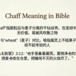 Chaff Meaning in Bible
