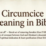 Circumcise Meaning in Bible
