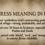 Fortress Meaning in Bible