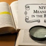 NIV Meaning in the Bible